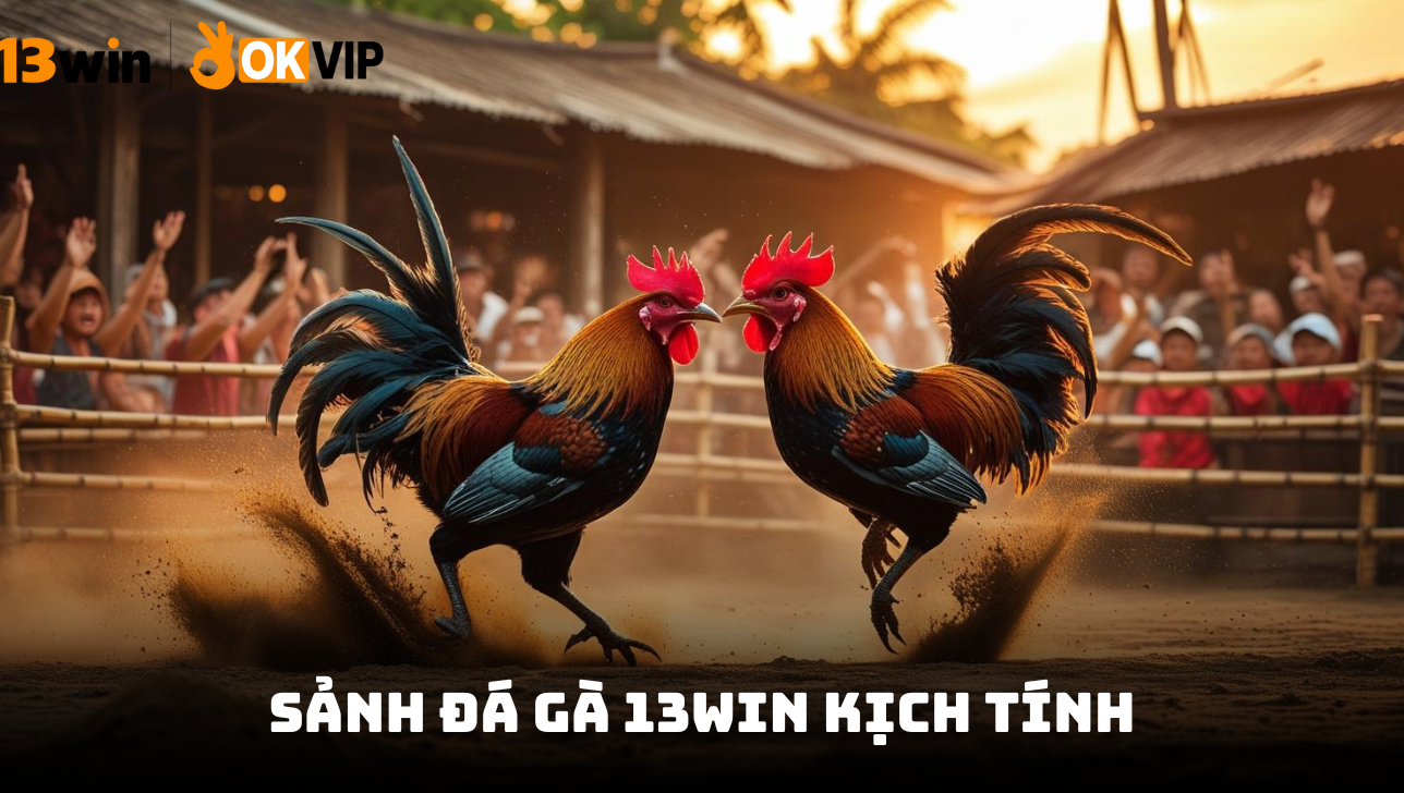 Ưu điểm tạo nên sức hút của sảnh đá gà 13WIN